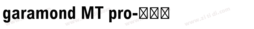 garamond MT pro字体转换